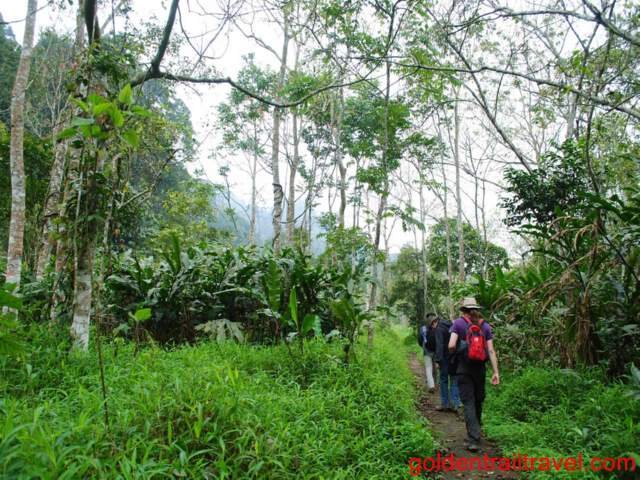 Cuc Phuong Trekking Tour 2 Days